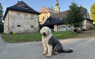 Záchrana nejstaršího kostela Broumovska- kostela Nejsvětější Trojice ve Zdoňově