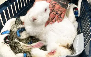 Pomůžete Arymu zachránit život?