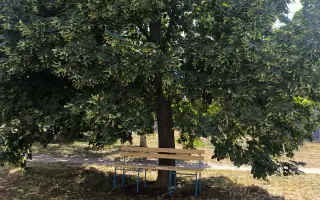 Pomozte nám udržet prostor Synagogy na Palmovce živý