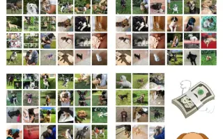 Výběhy naděje pro pejsky v nouzi