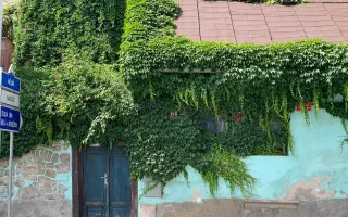 Záchrana malého domku s pohádkovým kouzlem po tragickém požáru