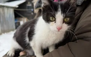 Zvířata na šumpersku potřebují Vaši pomoc