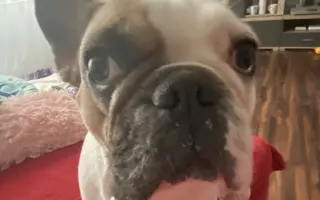 Pomozte nám zvládnout nečekanou operaci❤️‍🩹