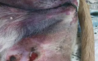 Pomozte Matýskovi zase běhat