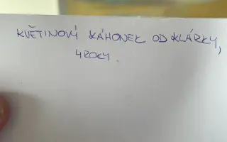 Šance na klidnější život pro Katku