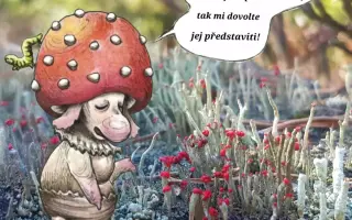 Podpořte KOLODĚJE - houbové hrdiny
