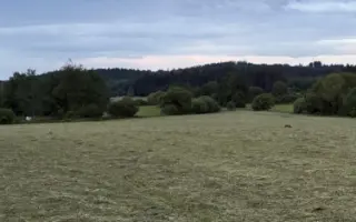 Naděje pro srnčata z Blatenska