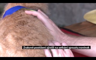 Canisterapie CANTES v krajích ČR jako sociální rehabilitace
