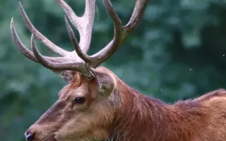 Právní a expertní obrana proti rizikové těžbě lithia v Krušných horách