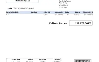 Aktivní vozíček pro Ondru