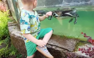 Naděje pro malého Ondráška