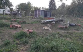 Trvalý domov pro Luckyho