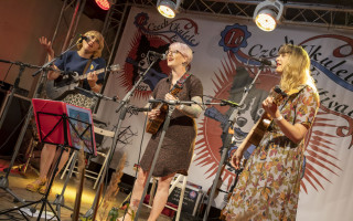 11. český ukulele festival potřebuje Vaši podporu!