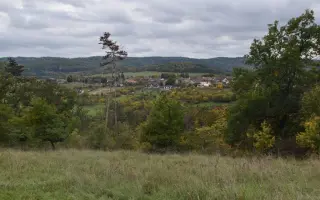 Zvelebování Ptačího koutku v roce 2026 -pro ptáky i pro lidi