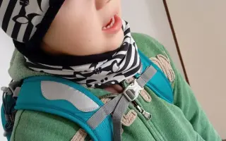 Auto pro šestičlenou rodinu se dvěma autistickými dětmi