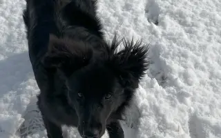 Pomoc pro Lilinku, která bojuje o život.