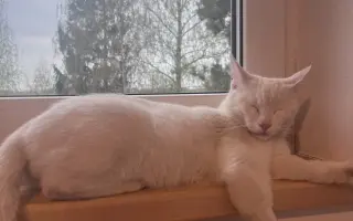 Pomohli jste Eliotkovi v boji s FIP