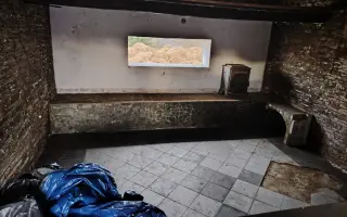 Pomoc zraněným, nemocným a týraným kočkám.