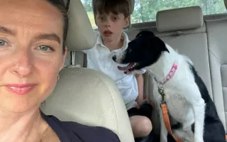 Bezpečný domov pro Nicolase