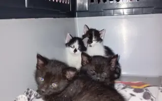 Jeden prostor navíc, stovky šancí na život