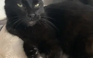 Úžasná Rozinka, která celý život pomáhala, nyní sama potřebuje pomoc