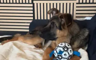 Benův boj o každý krok