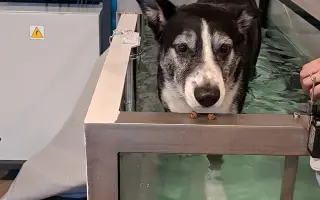 Život bez bolesti pro Mildu