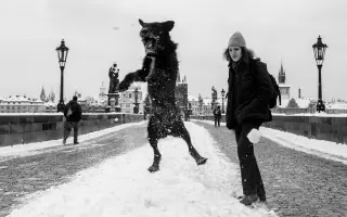 Podpořte vydání fotografické knihy ¨Spolu sami¨