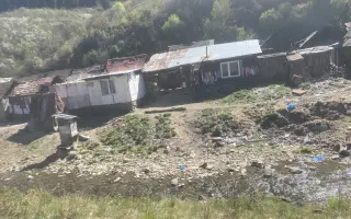 Záchrana pro psy ze slovenských osad 🩷