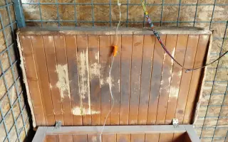 Pejskové v útulku prosí o vaši pomoc