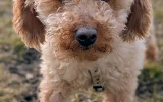 Pomoc s náklady na léčbu a rehabilitaci pro Aishu