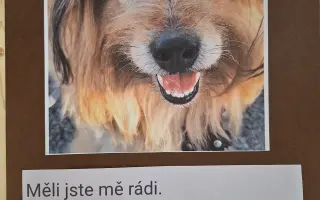 8 nalezených Lásek