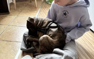 Štěně Lucky potřebuje operaci srdce