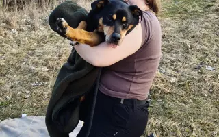 Odchytová technika pro spolek Pátrání a odchyty zvířat ARES z.s.