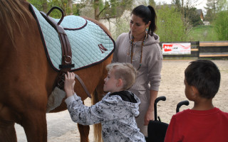 Pomozme nakrmit koně, kteří pomáhají dětem