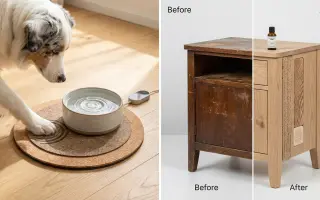 Podpořte vybudování centra, aby i slepí a hluší pejsci našli bezpečný domov