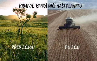 Mendel 2.0: Pošlete studenty na finále nejprestižnejší biotech soutěže na světě!