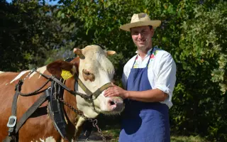 Podpořte pořízení nových chomoutů a postrojů pro kravičku Matyldu
