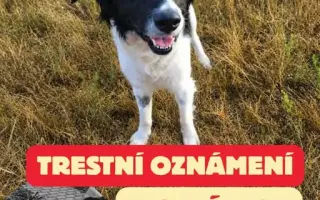 DEN ZVÍŘAT 2026