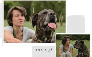 Když chybí pocit bezpečí a jistoty, z psychiatrie se dostává těžko