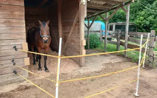 Šance na život pro Messyho