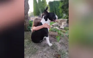 Zázraky se dějí! Pomozme našemu psímu klukovi zdolat nádor