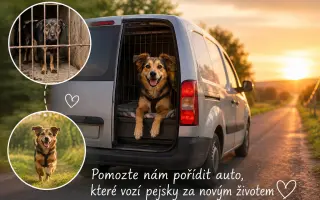 Čtyři kola pro stovky tlapek 🐾