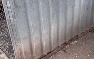 Útulek, který zachránil tisíce zvířat, dosluhuje. Pomozte nám ho opravit.