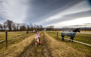 Návrat koní a poníků na pastviny zničené povodní