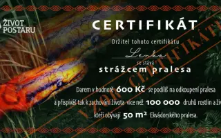 Amazonie volá o pomoc: zachraňme tisíce druhů zvířat a rostlin před těžaři