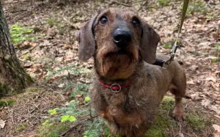 🥾 154 KM ZA TY, KTEŘÍ UŽ NEMŮŽOU 🐾