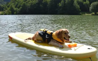 Kroky, které nebolí: Mauriho 4.bitva