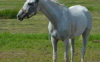 Dobročinná sbírka pro Ostrov Naděje