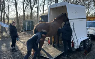 Akutní operace a pooperační péče Lucase